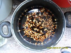 Magura 9 26 - 26 mai.